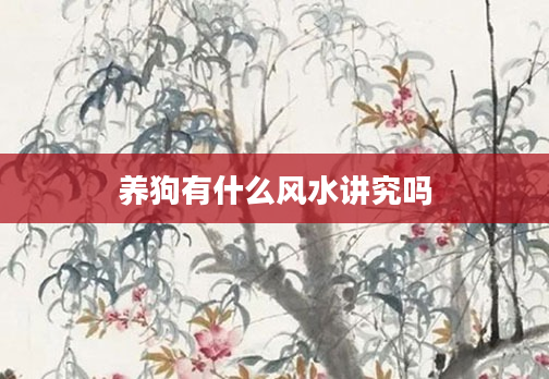 養(yǎng)狗有什么風(fēng)水講究嗎